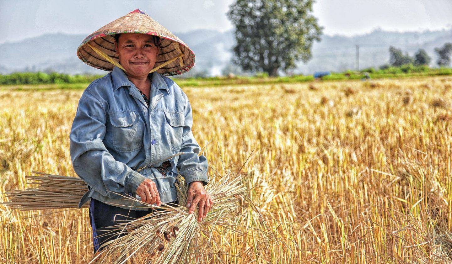 Greensow Farmer Imagery - Cultivating Sustainable Harvests with Dedication