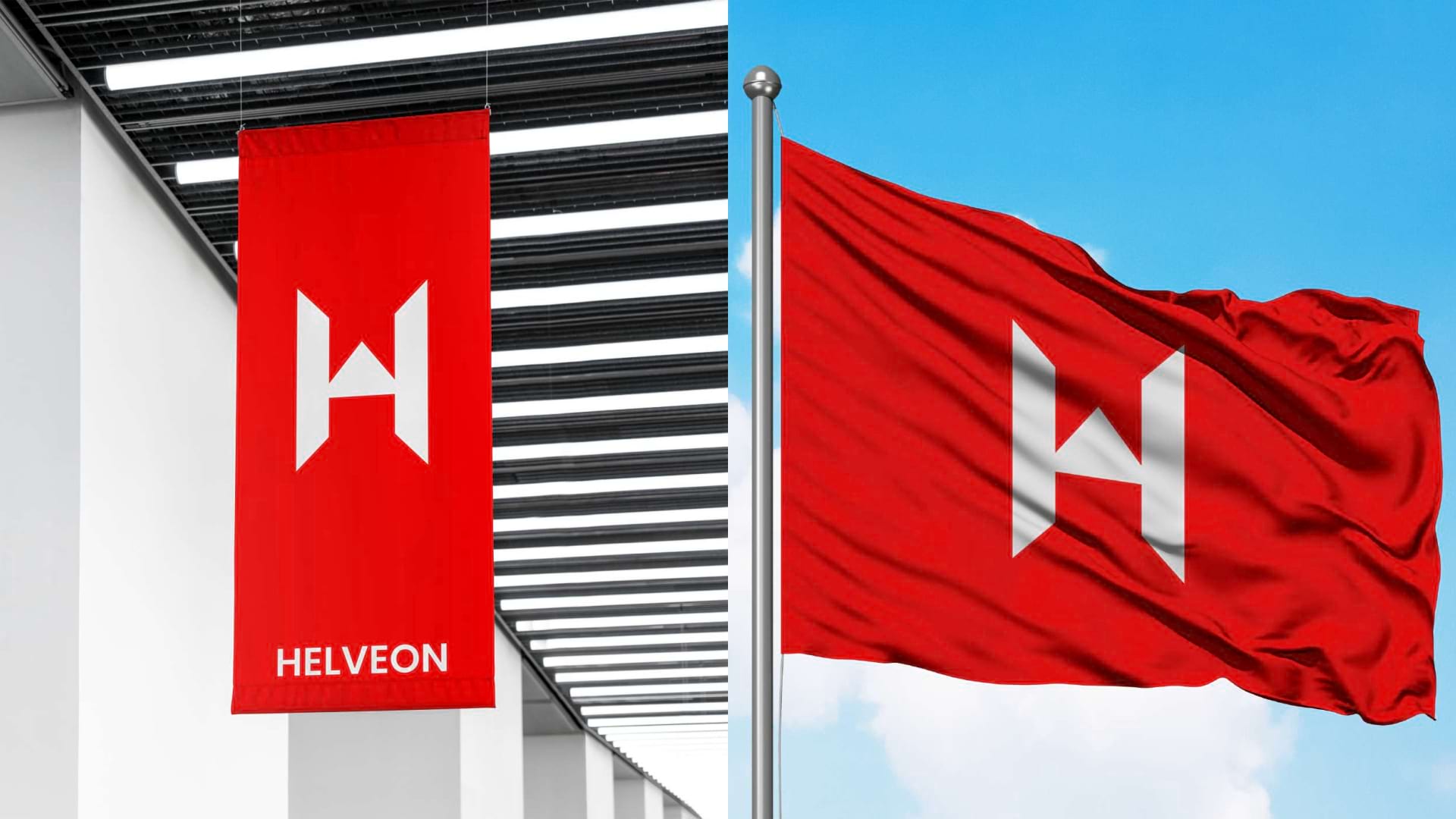 Alitestar helped us unlock the true potential of our brand.